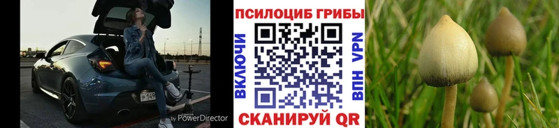 Галлюциногенные грибы Psilocybe наркота Хвалынск