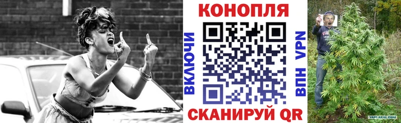 Конопля планчик  Хвалынск 